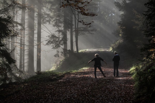 wandervoegel im herbst - (c) l lammers.jpg